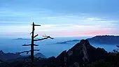 洛阳历史